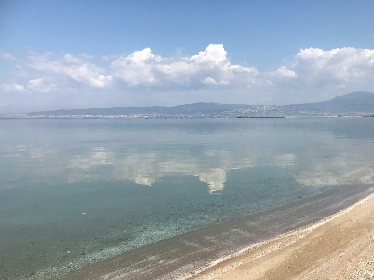 Lovely And Sunny Apartament 300M From Beach!! Peraia  Luaran gambar
